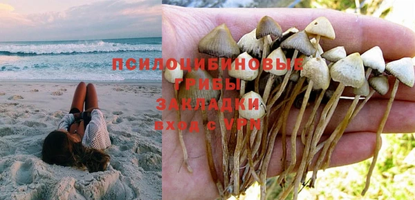 дживик Алексеевка