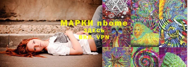 сатива Алзамай