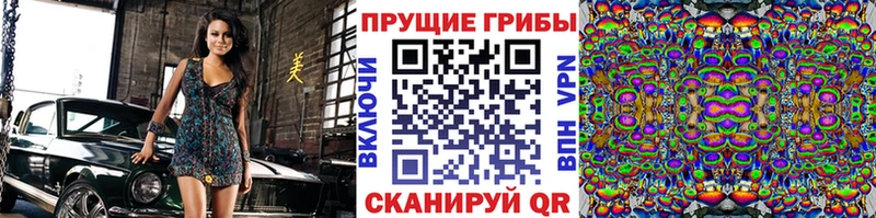 Купить закладки  Тара  Псилоцибиновые грибы MAGIC MUSHROOMS 